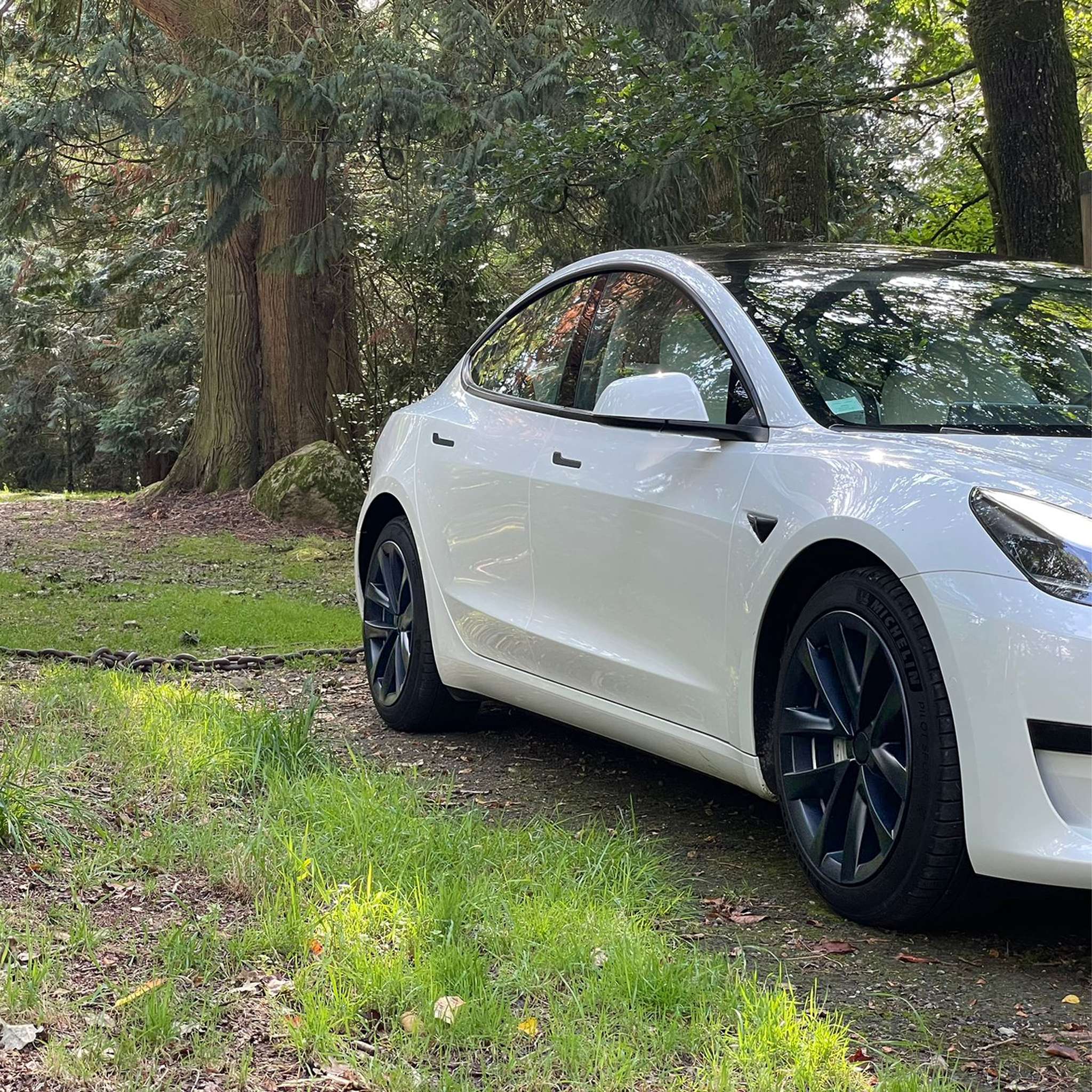 For Model 3 Wheel Cover 18 inch Arachnid Style