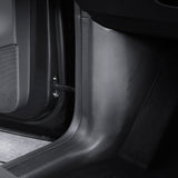 Carbon Fiber Style Door Sill Protectors for Tesla Model Y L