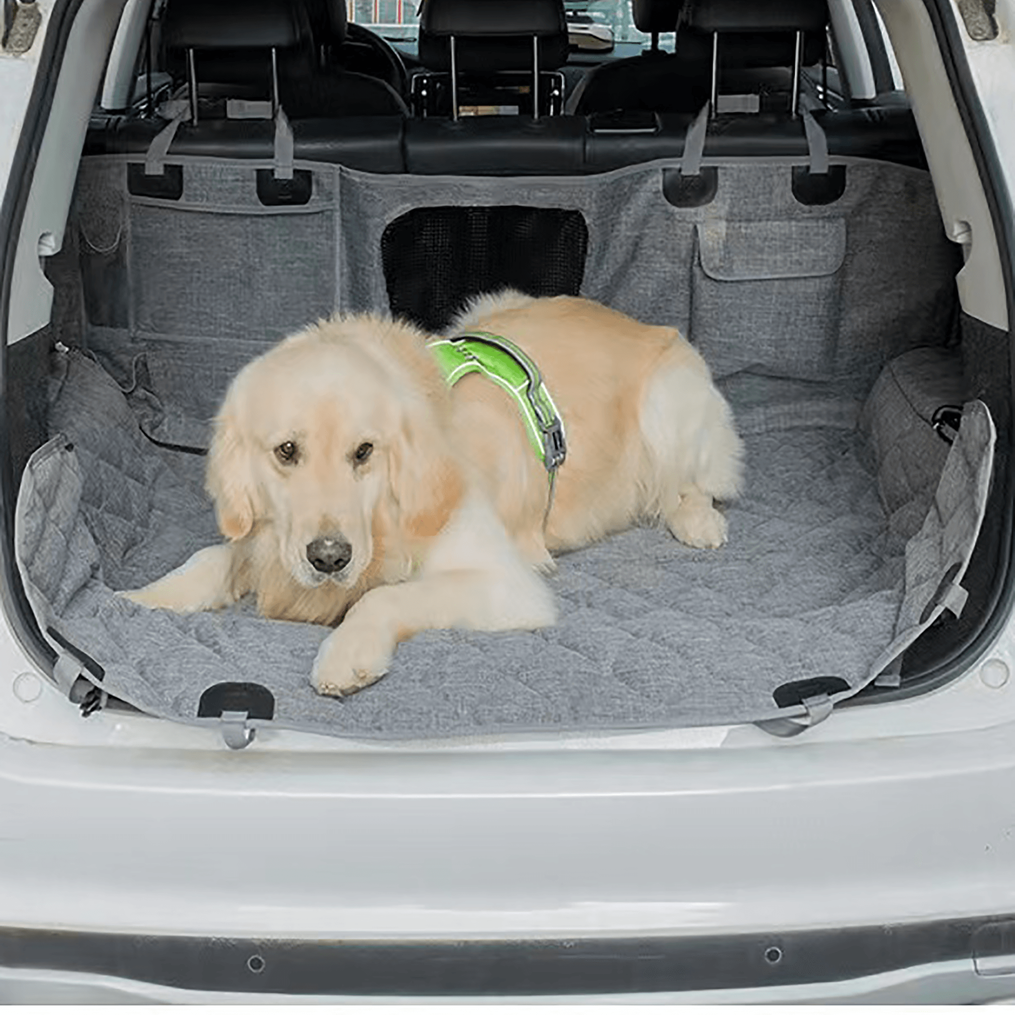 Dog Back Seat Cover For Tesla Model S/3/Y/X-Pet Supplies-Teego