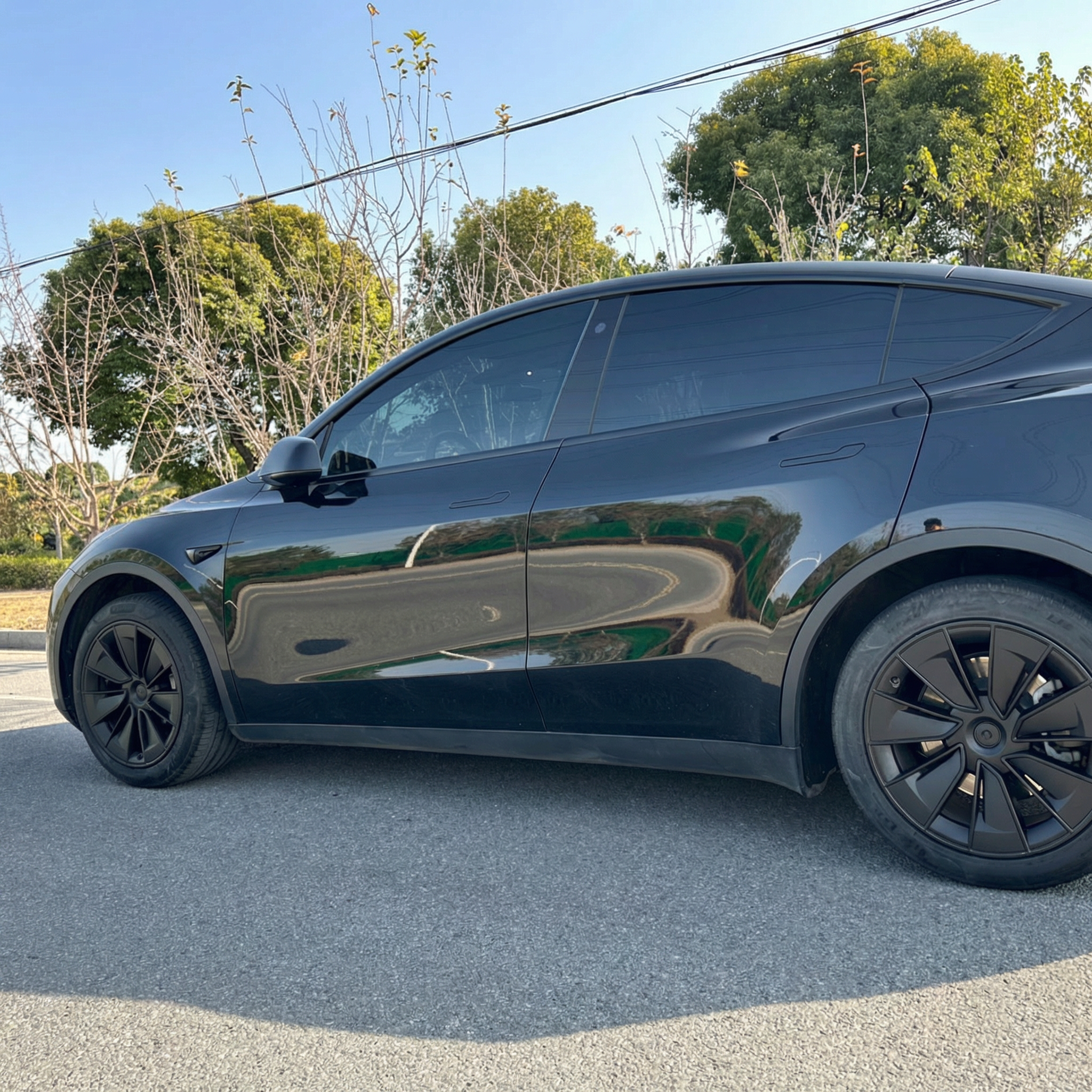 Tessgo CyberStorm 19"Turbine Wheel Covers for Model Y