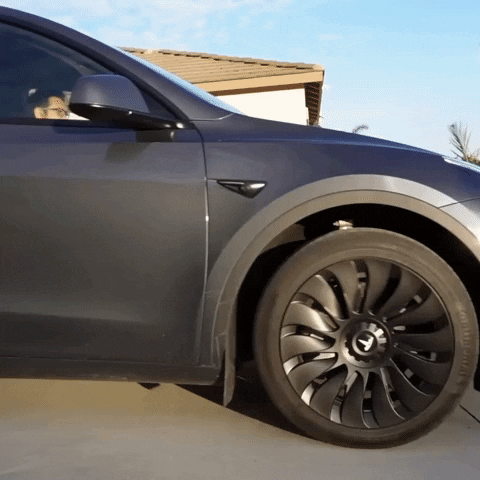 Teego wheel cover