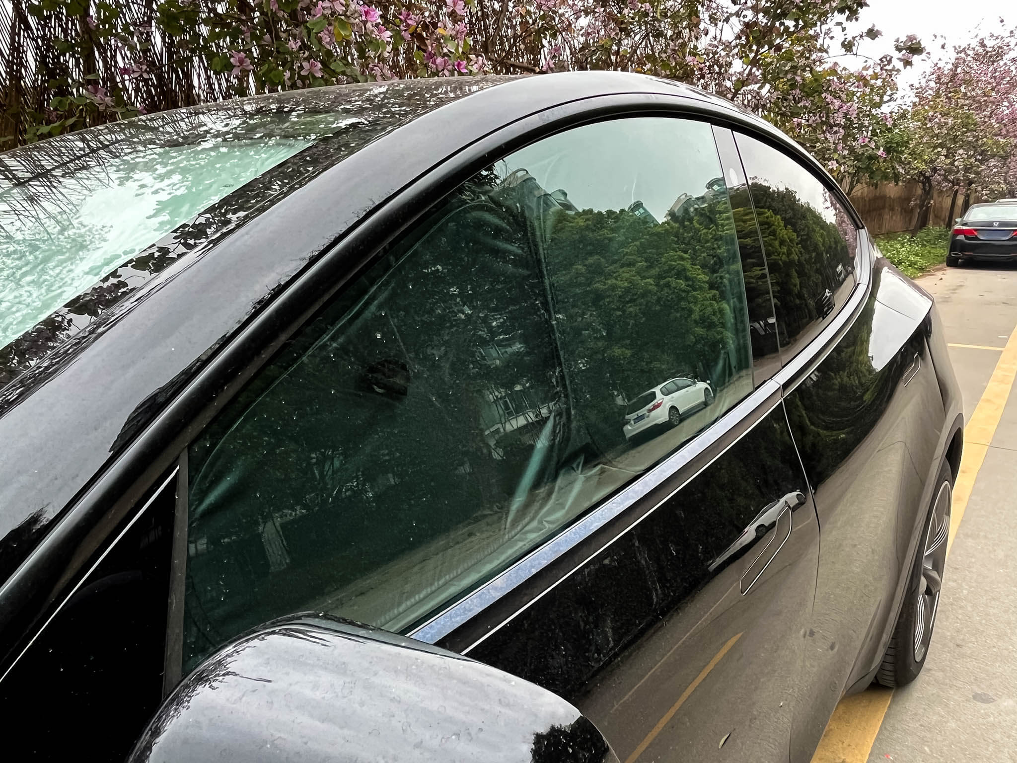 Privacy Shield Side Window Sunshades for Tesla Model Y / 3 (2017-2025+)