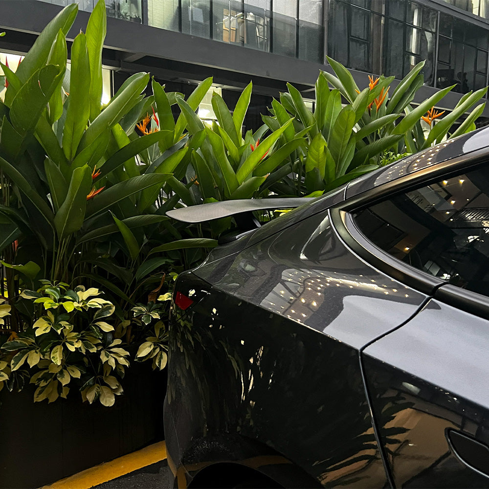 GT Style Real Carbon Fiber Spoiler Wing for Tesla Model 3 – Sporty Aerodynamic Rear Trunk Upgrade