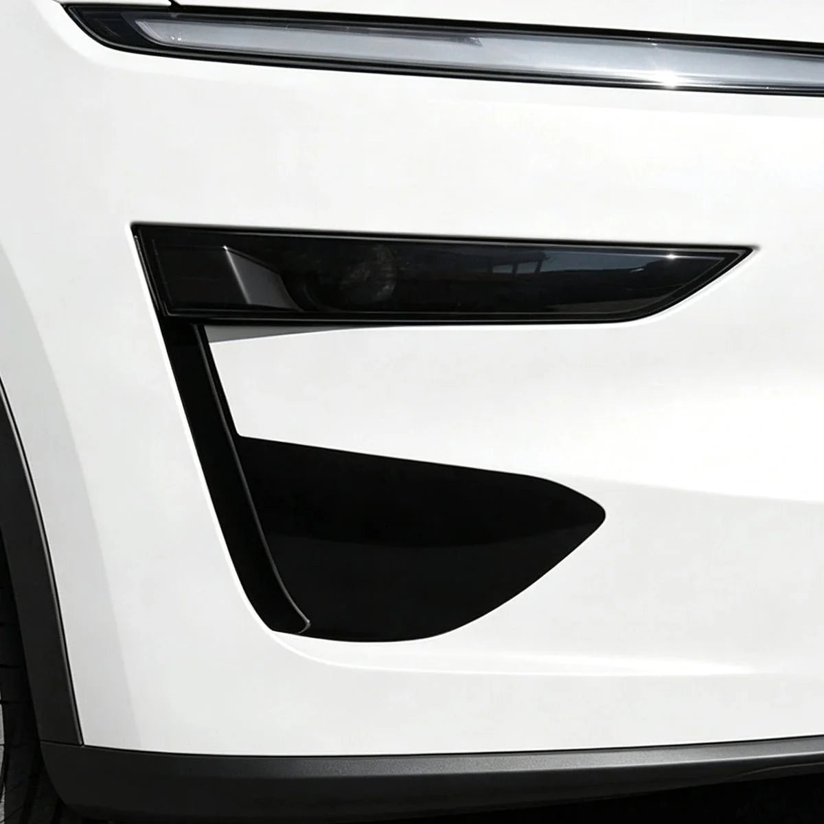 TPU Performance Style Fog Light Film for Tesla Model Y Juniper 2025+ / Model Y L 2026+
